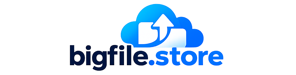 Bigfilestore